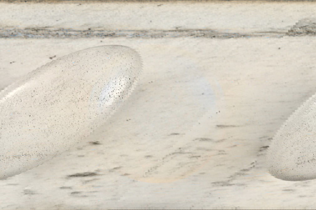 Avola AV1610-5620 Biurko