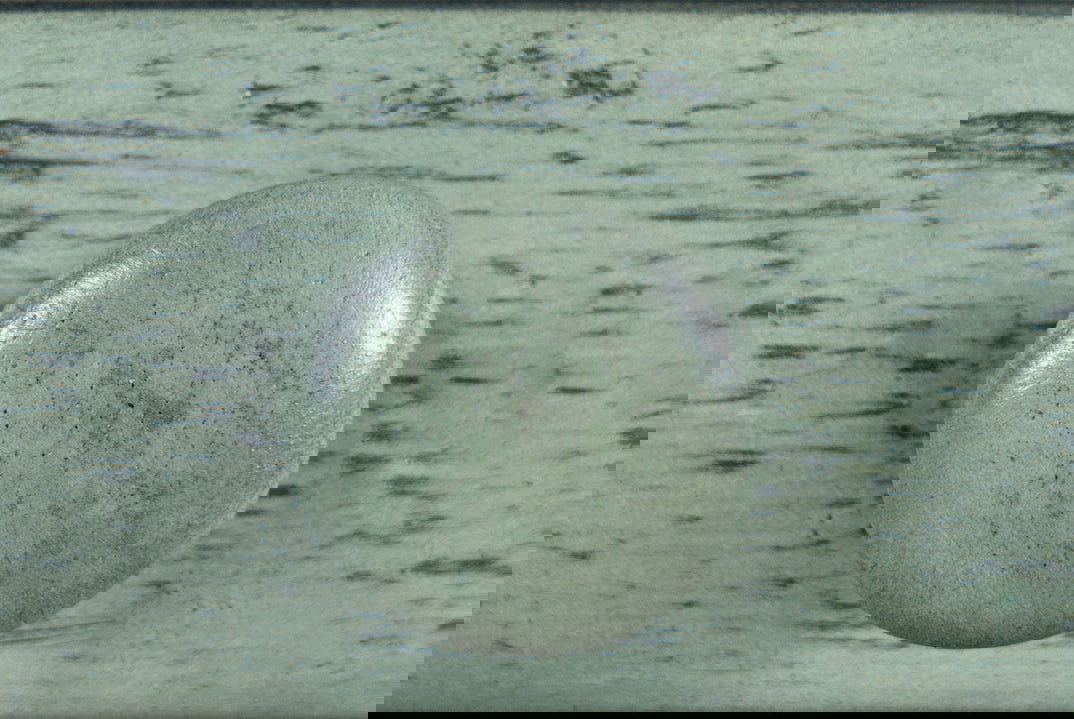 Avola AV1615-5620 Biurko