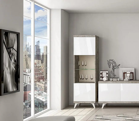 WŁOSKA WITRYNA TREVISO 1 DRZWIOWA / STATUS ITALY